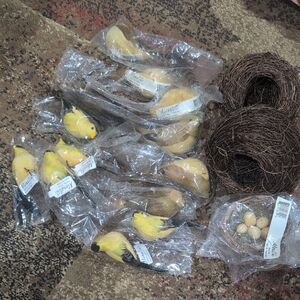 Charming Yellow and Brown Birds With Bird Nests New